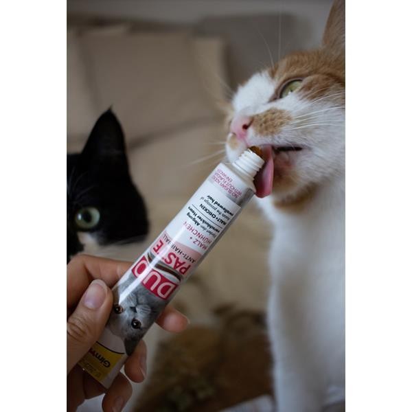 Gimcat Duo Paste Peynirli Multi-Vitamin Kedi Macunu 50gr