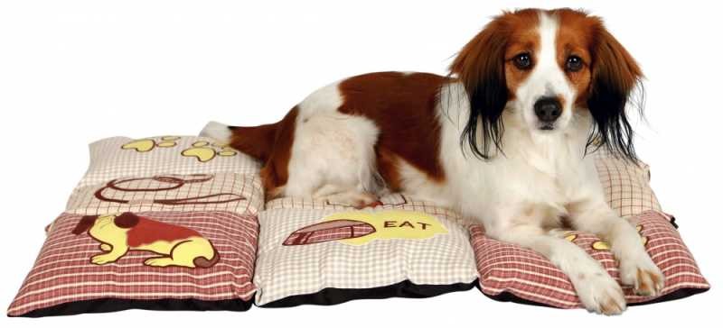Trixie Köpek Yastığı ve Yatağı 80x55cm Kırmızı Bej