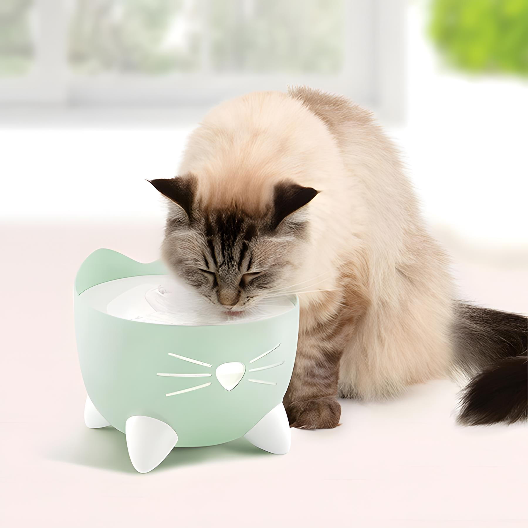 Catit Pixi Fountain Otomatik Kedi Su Pınarı Yeşil 2Lt
