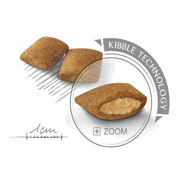 Royal Canin Exigent Mini Yetişkin Köpek Maması 3 Kg