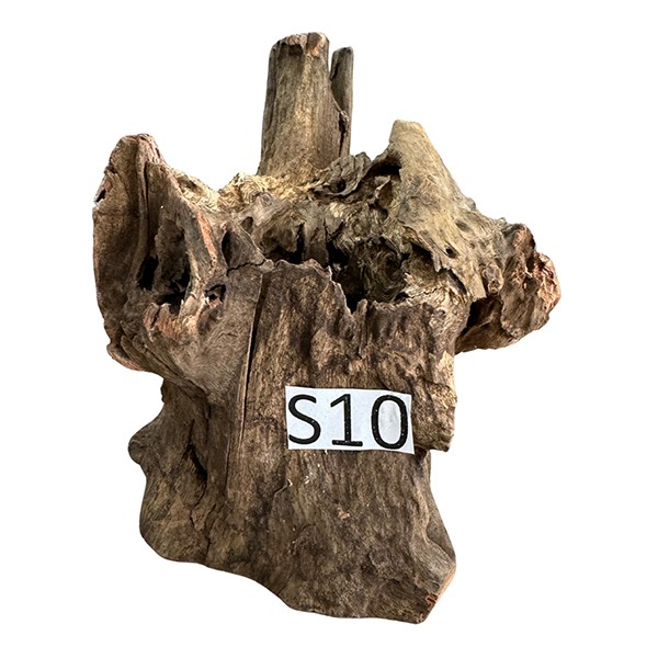 Creaqua Stump Wood Dekor Ağaç Gövdesi S 10-20 Cm - Small 10