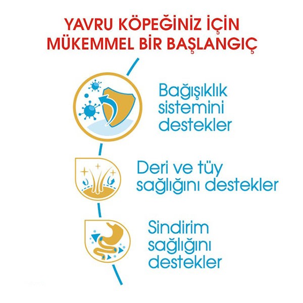 Royal Canin Cocker Junior Yavru Köpek Maması 3 Kg