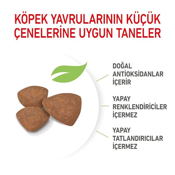 Royal Canin Mini Puppy Yavru Köpek Maması 4 Kg