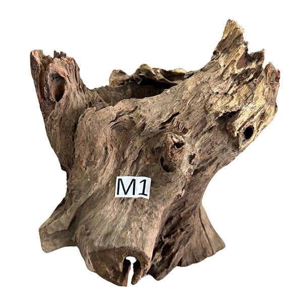 Medium 1