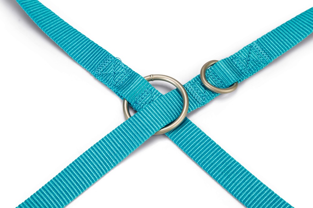 Beeztees Köpek Gezdirme Kayışı, Turkuaz, 200cm, 20mm