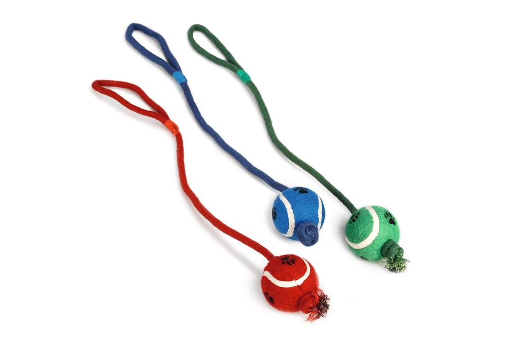 Beeztees Köpek Oyuncağı, İpli Tenis Topu, Çeşitli Renklerde, İp 60cm , Top 6cm