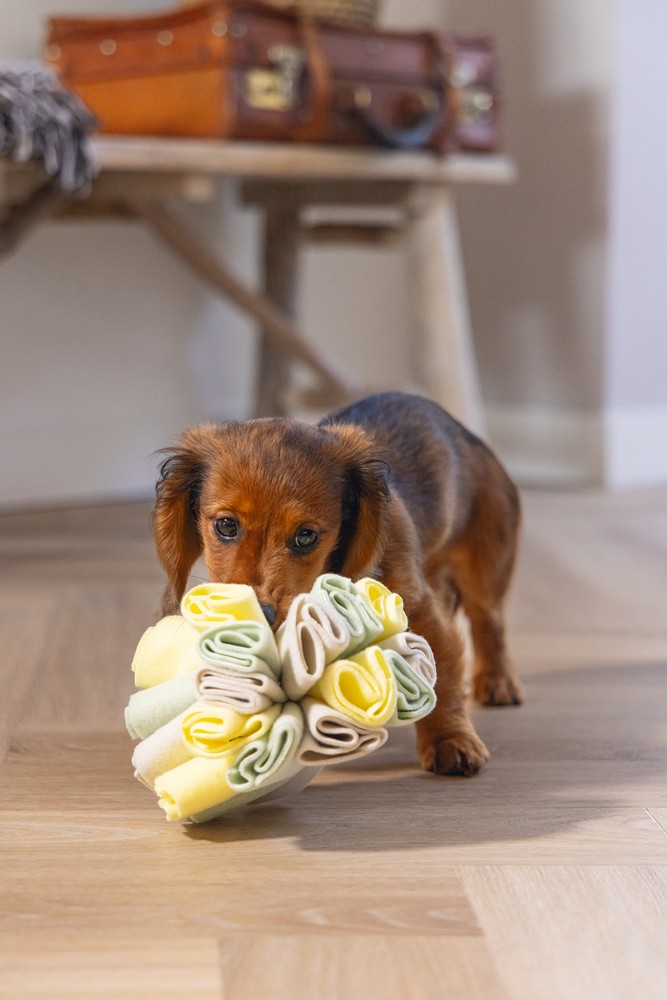 Beeztees Köpek Ödül Saklama Oyuncağı, Top, Polar, Gri/Yeşil, 13cm