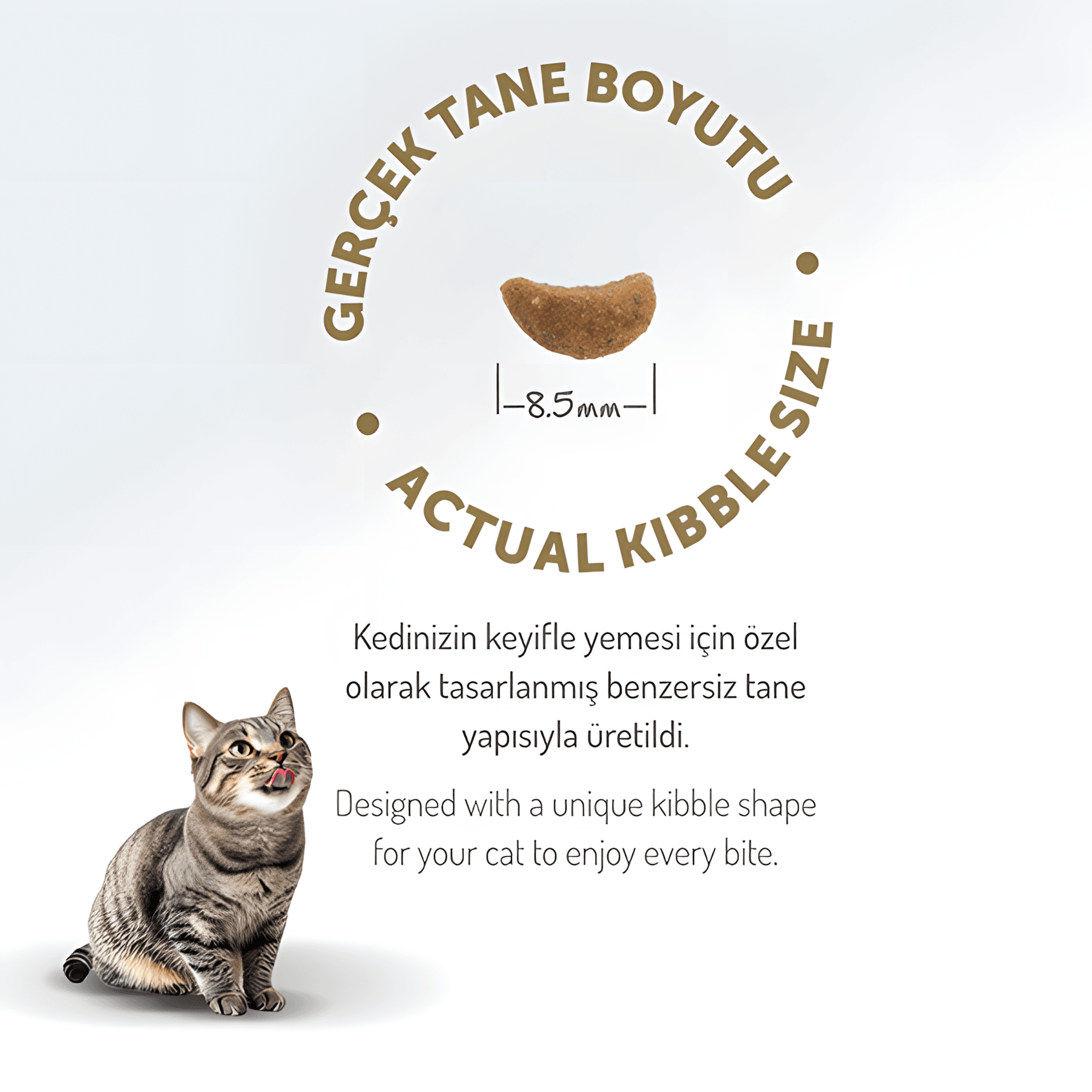 Felicia Az Tahıllı Kuzu Etli Hypoallergenic Kolajenli Yetişkin Kedi Maması 2Kg