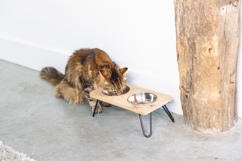 Beeztees DBL Kedi İkili Mama ve Su Kabı, Paslanmaz Çelik, Beyaz, 31x16x10cm, 2x350ml