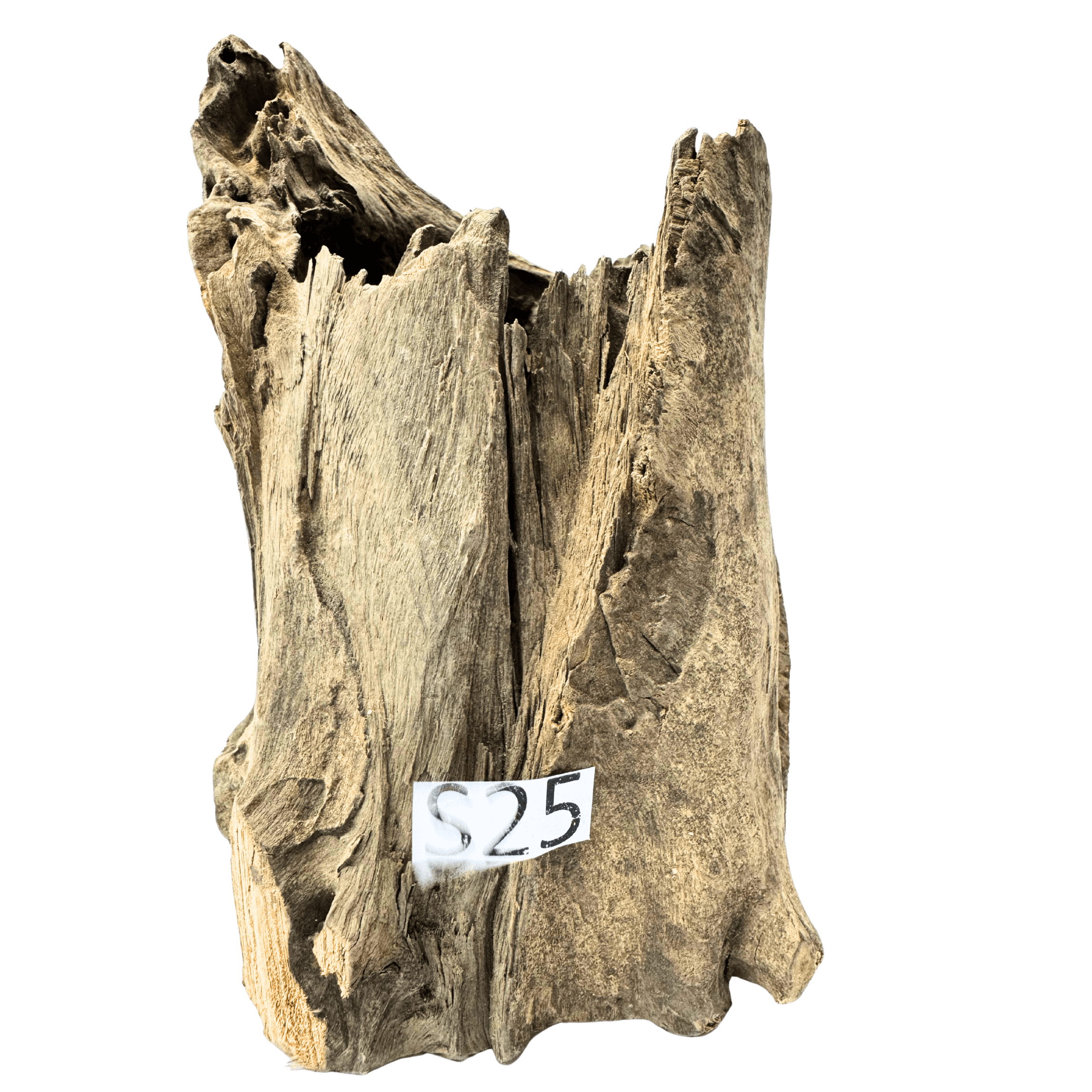 Small 25