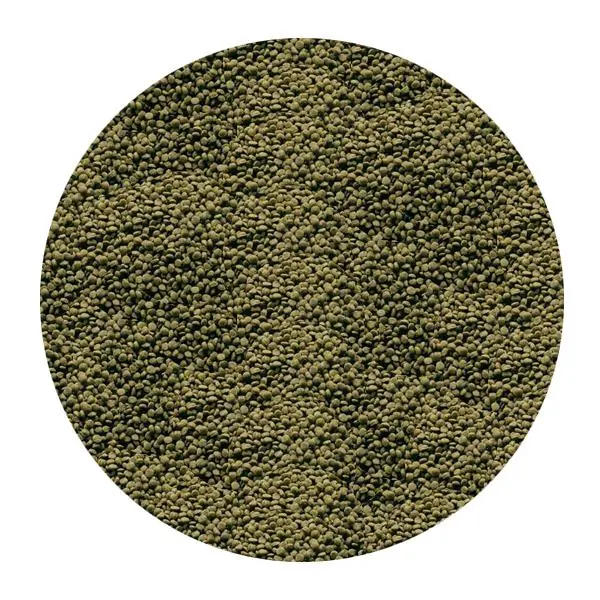 Sera GranuGreen 100gr - Kovadan Bölme