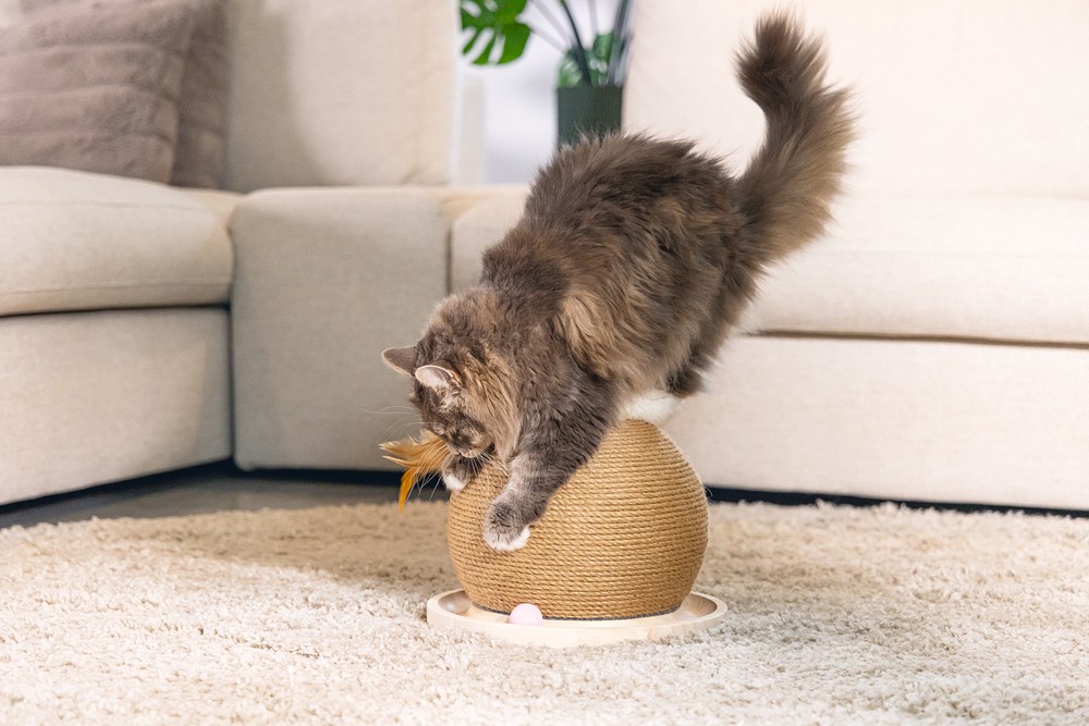 Beeztees DBL Kedi Tırmalama ve Oyuncağı, 29,5x29,5x22cm