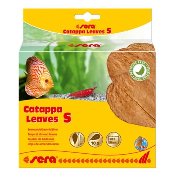 Sera Catappa Yaprağı S 14 Cm 10lu Paket