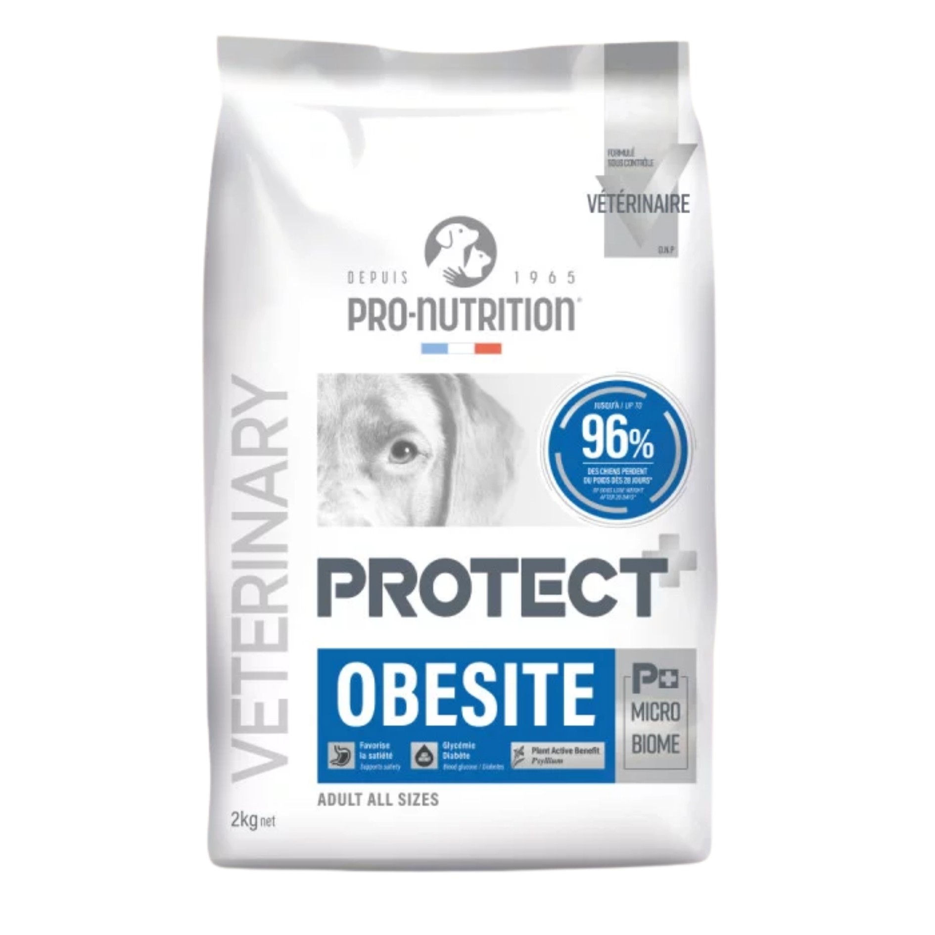 Pro Nutrition Protect Veterinary Obesite Kilo Kontrolü İçin Köpek Maması 12kg