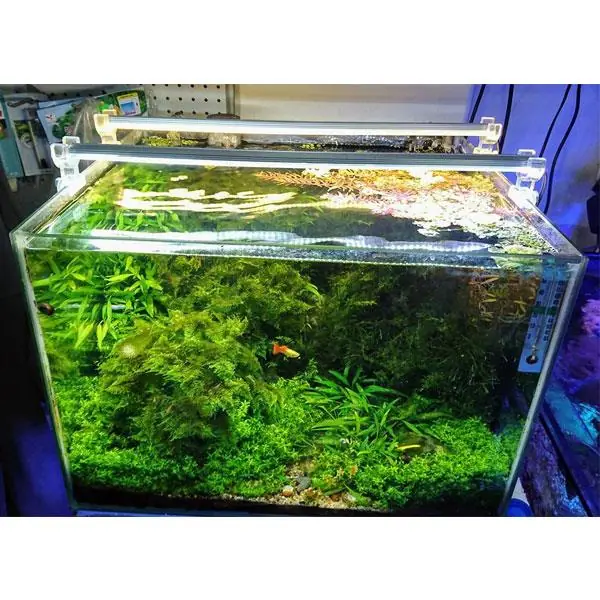 OrionLed Akvaryum Led Aydınlatma Beyaz 70Cm 6500K