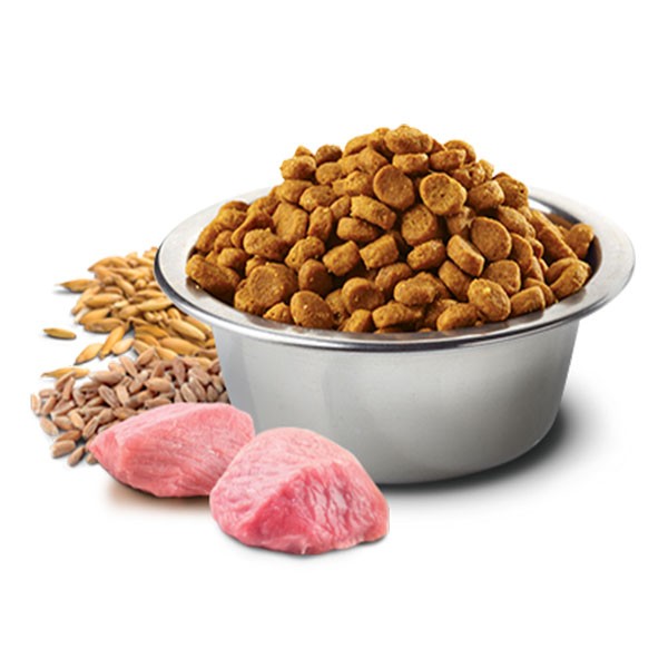 ND Düşük Tahıllı Kuzu Etli ve Yaban Mersinli Küçük Irk Yetişkin Köpek Maması 2,5 Kg