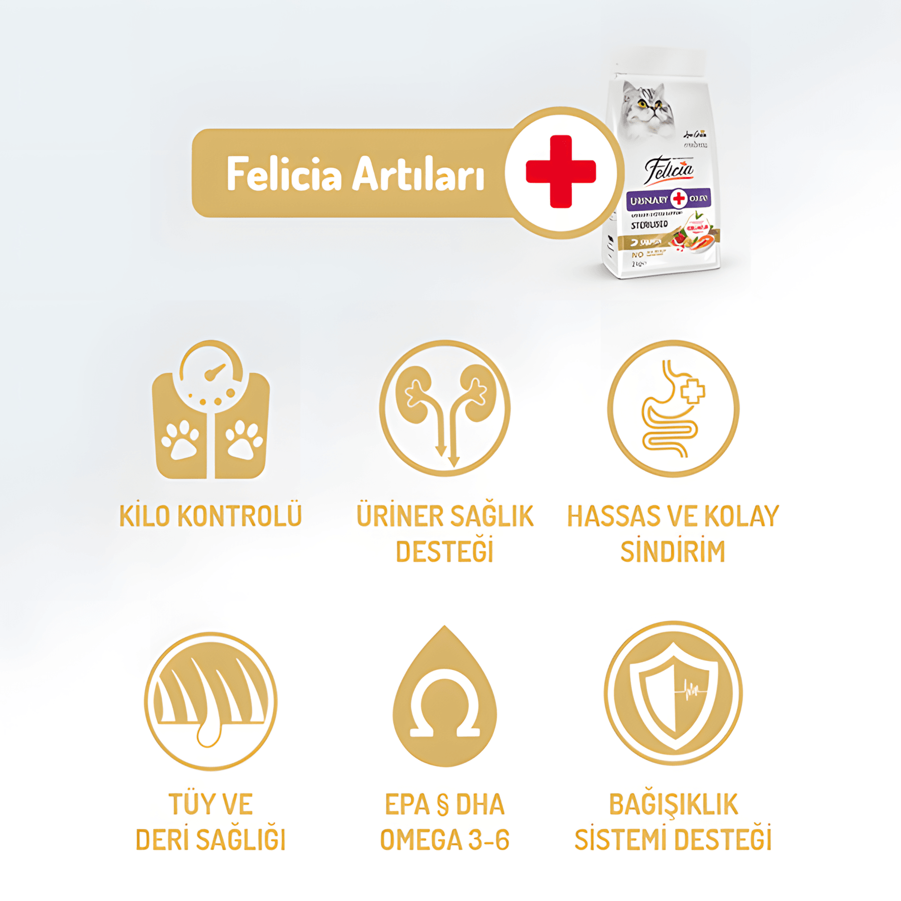 Felicia Az Tahıllı Somon Balıklı Hypoallergenic Kolajenli Kısırlaştırılmış Kedi Maması 2Kg