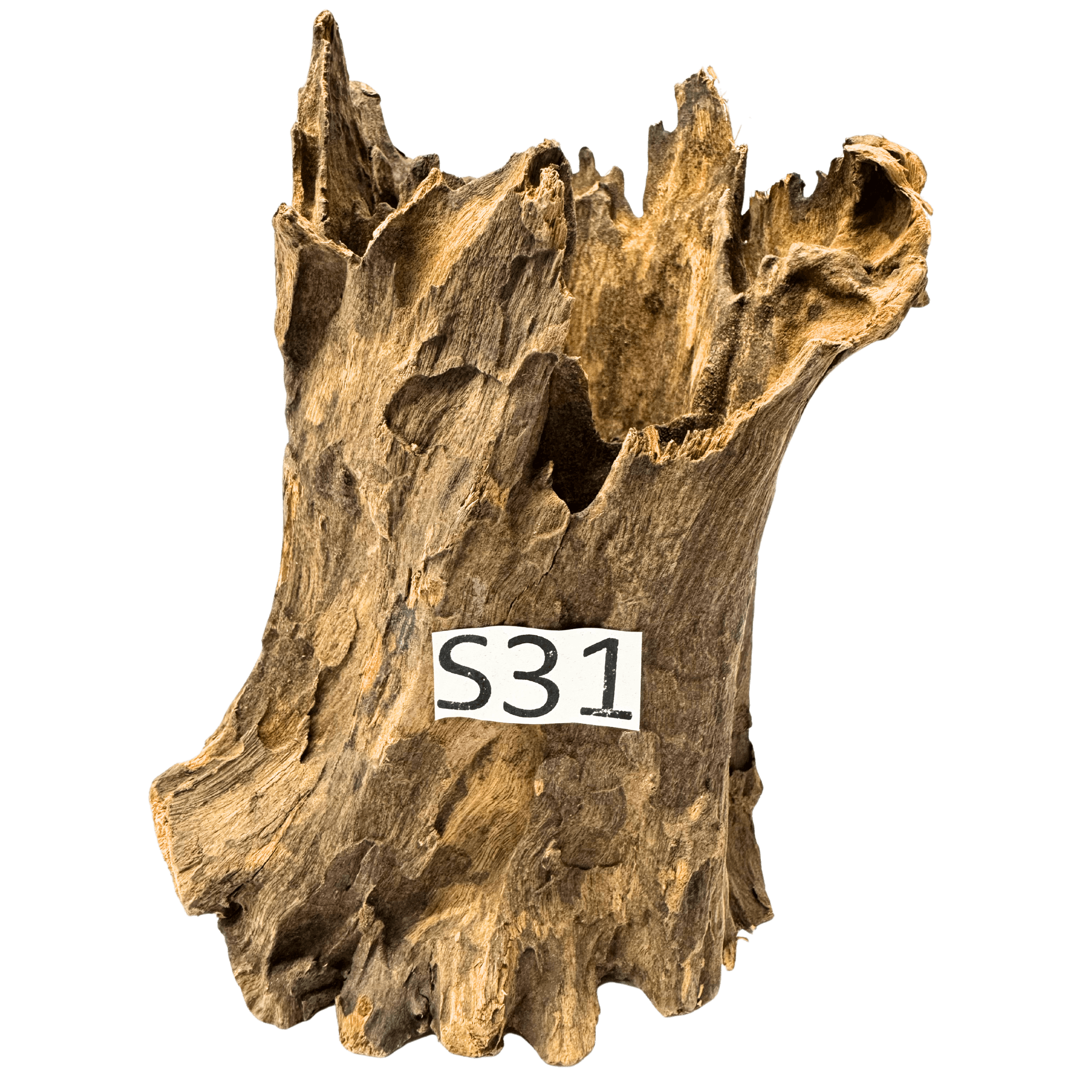 Small 31