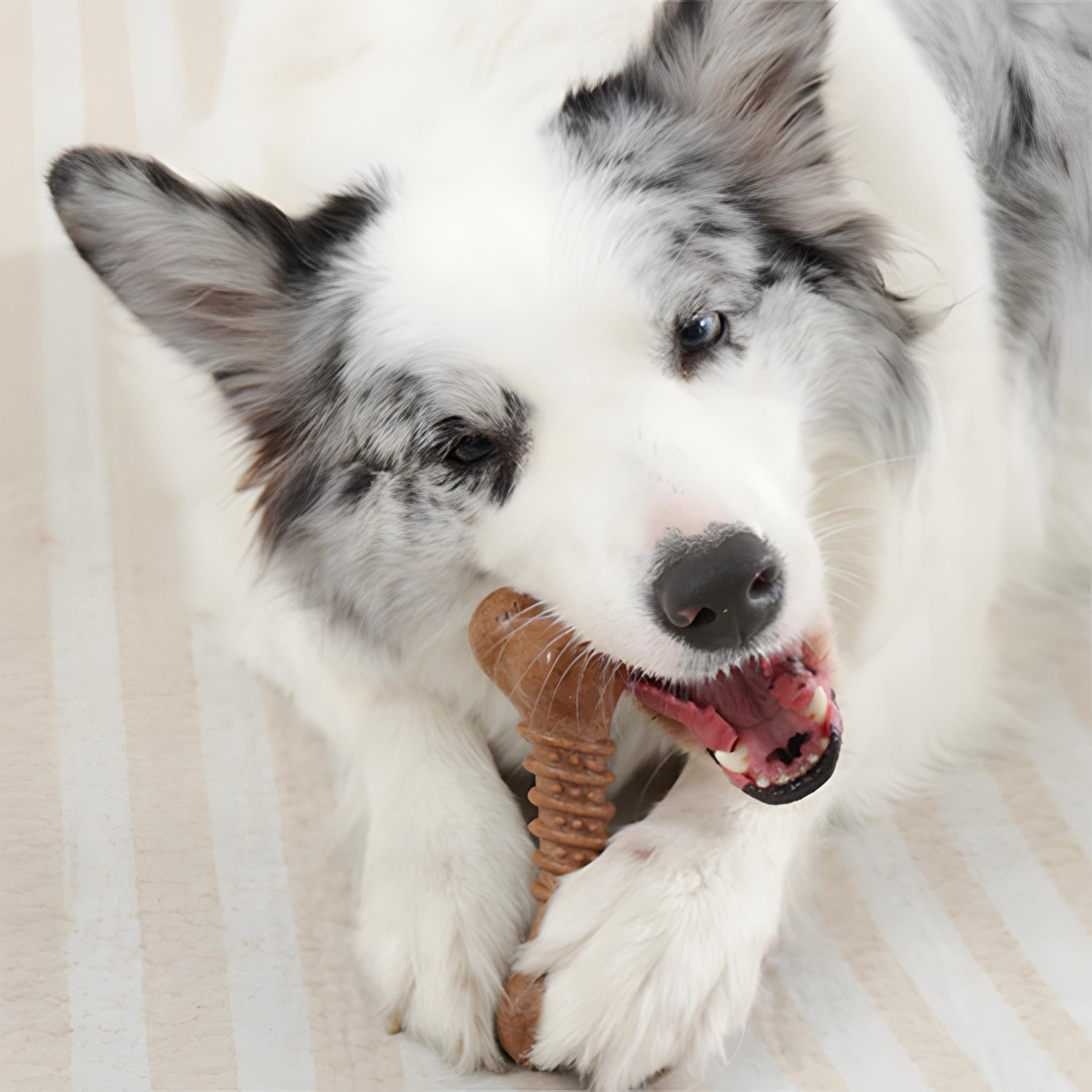 M-Pets Chewood Large Bone Köpek Oyuncağı