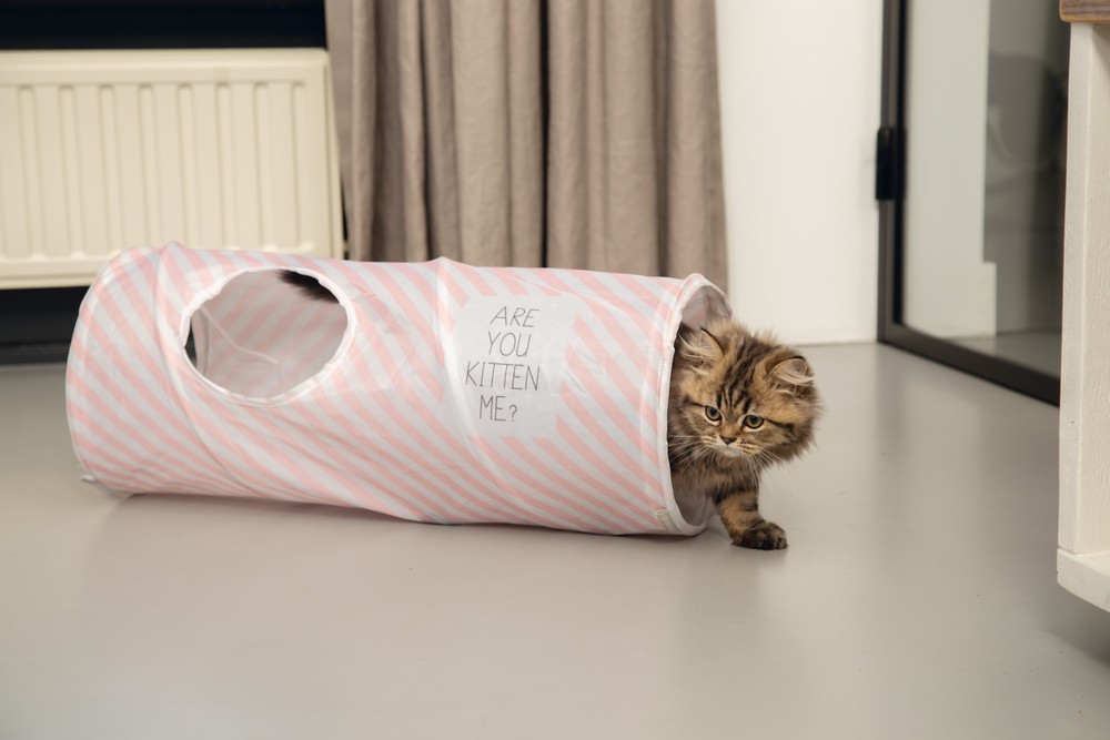 Beeztees Yavru Kedi Oyun Tüneli, 60x24x24cm