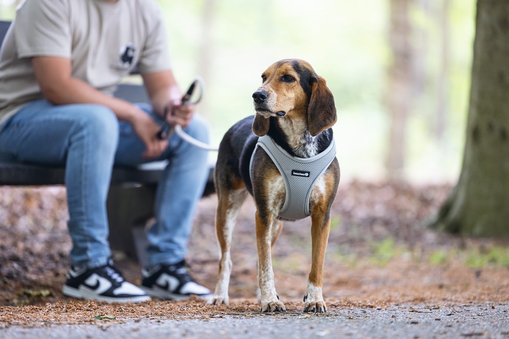 Beeztees Köpek Göğüs Tasması, Neopren,Gri, M, 41-46cm