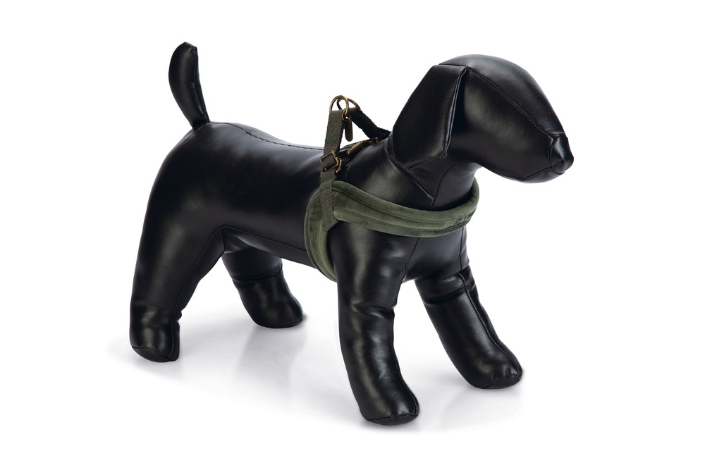 Beeztees DBL Köpek Göğüs Tasması, Velur, Yeşil, S, 20mm x 52cm
