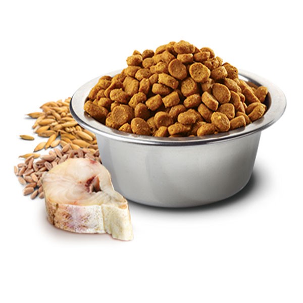 ND Ocean Morina Balıklı ve Portakallı Düşük Tahıllı Yetişkin Kedi Maması 300gr