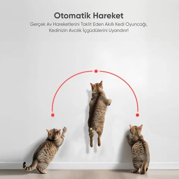 Şımart Akıllı Lazer Kedi Oyuncağı