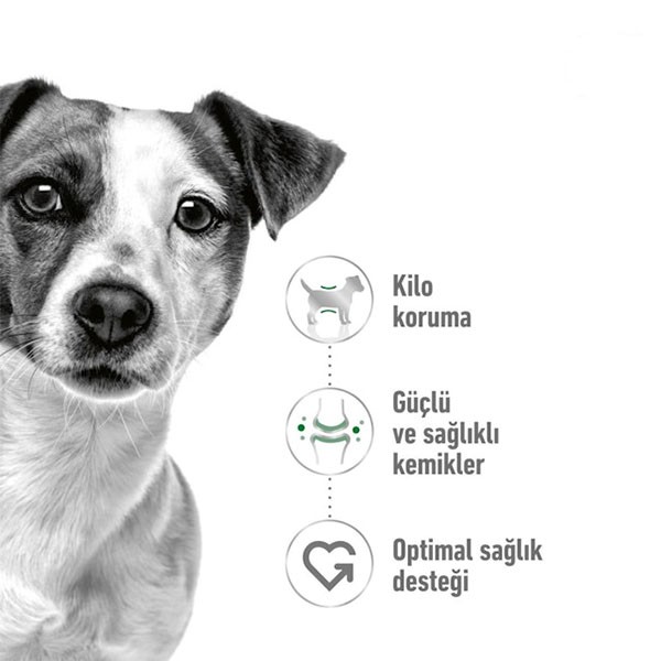 Royal Canin Mini Adult Yetişkin Köpek Maması 2 Kg