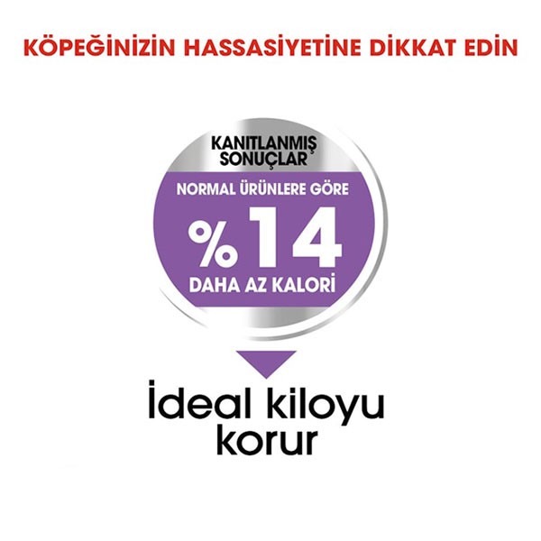 Royal Canin Mini Sterilised Kısırlaştırılmış Yetişkin Köpek Maması 3 Kg