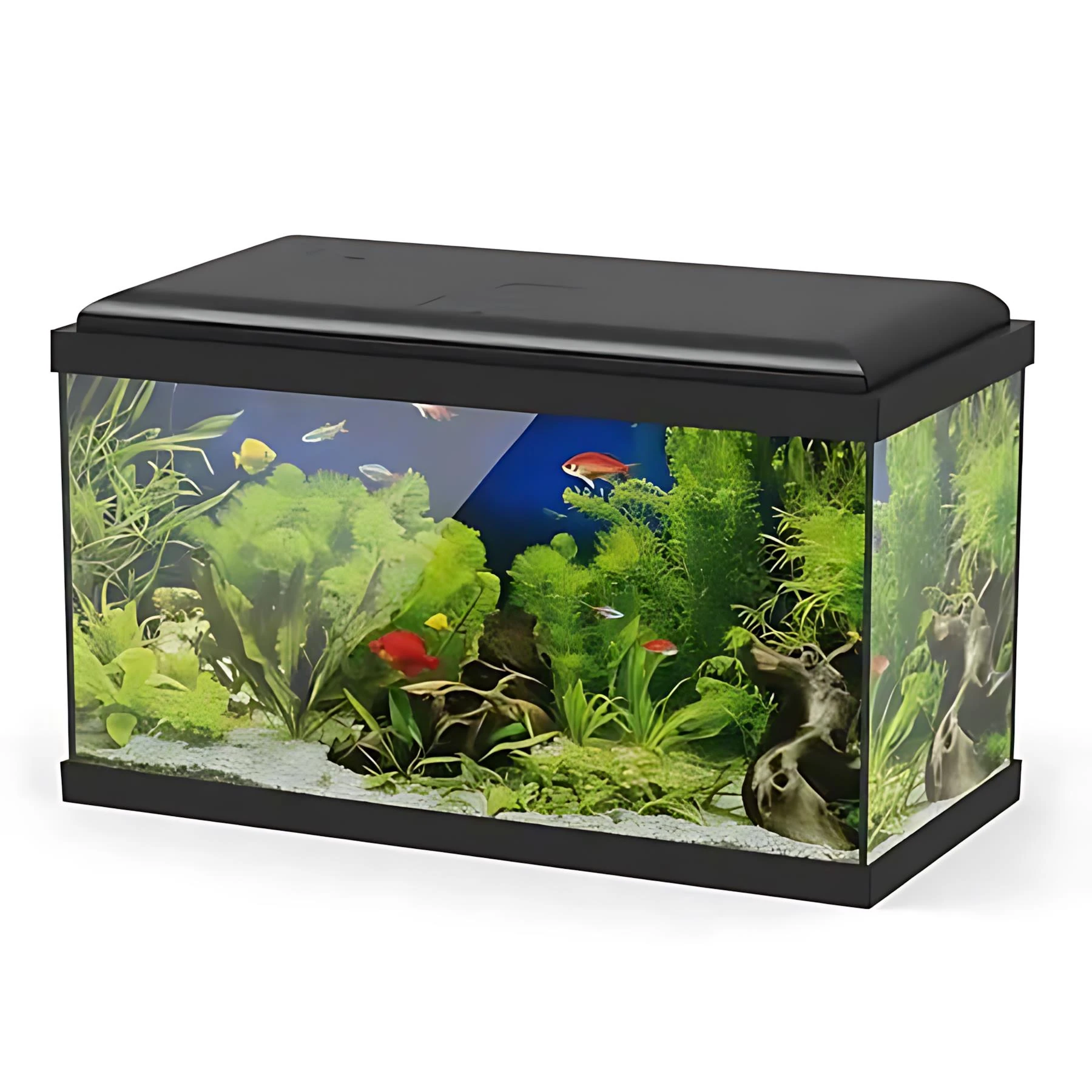 Haqos NS-620 Set Akvaryum Ledli 67Lt