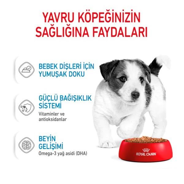 Royal Canin Mini Puppy Küçük Irk Yavru Köpek Konservesi 85gr