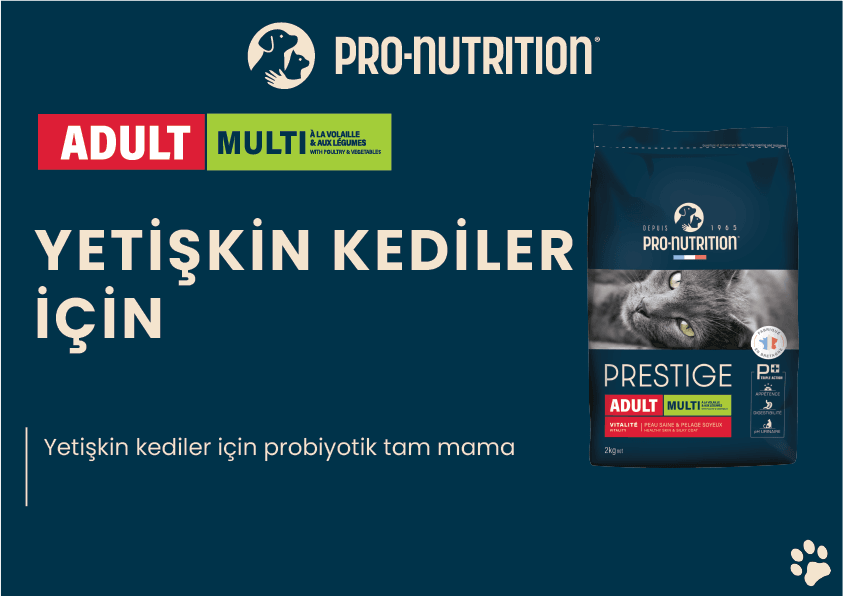 Pro Nutrition Prestige Adult Yetişkin Tavuklu ve Sebzeli Kedi Maması 2Kg