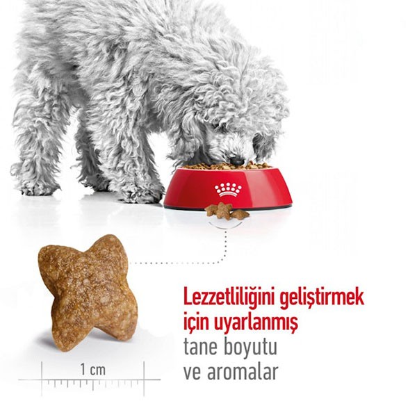 Royal Canin Mini Adult Yetişkin Köpek Maması 8 Kg