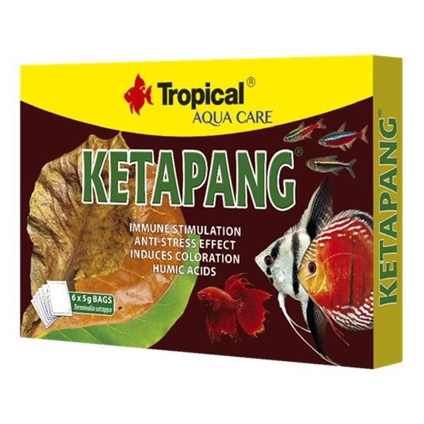 Tropical Ketapang Tozu 5gr 6lı Paket