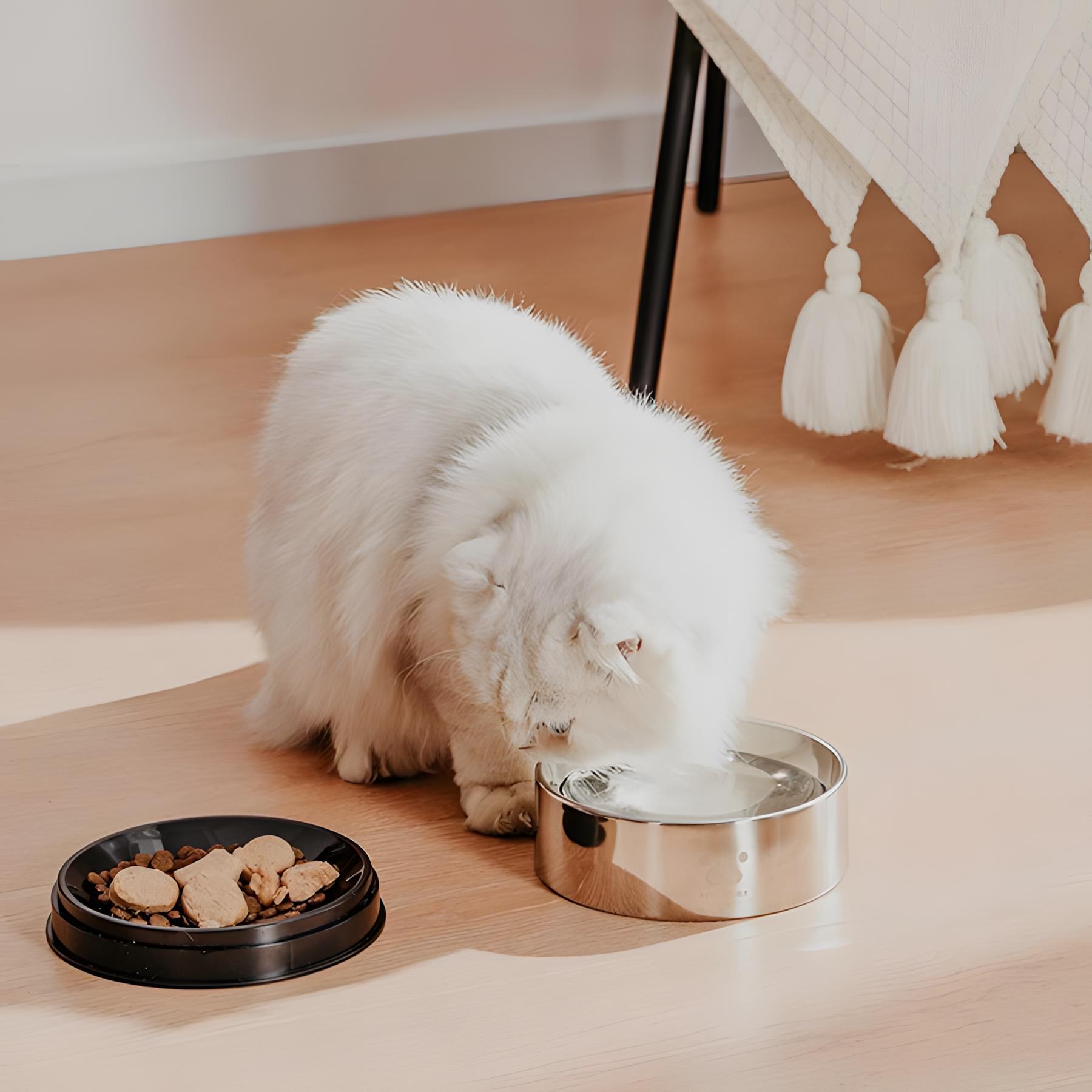 Pawgether Bowl 2S Metal Mama Kabı 850ml