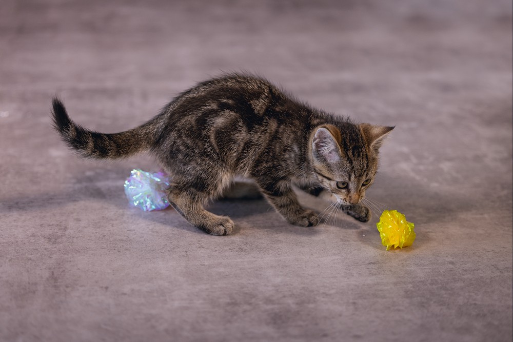 Beeztees Yavru Kedi Oyuncağı, Hışırtılı Top, 4 Adet, 5cm