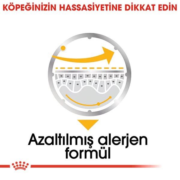 Royal Canin Dermacomfort Yetişkin Köpek Konservesi 85gr