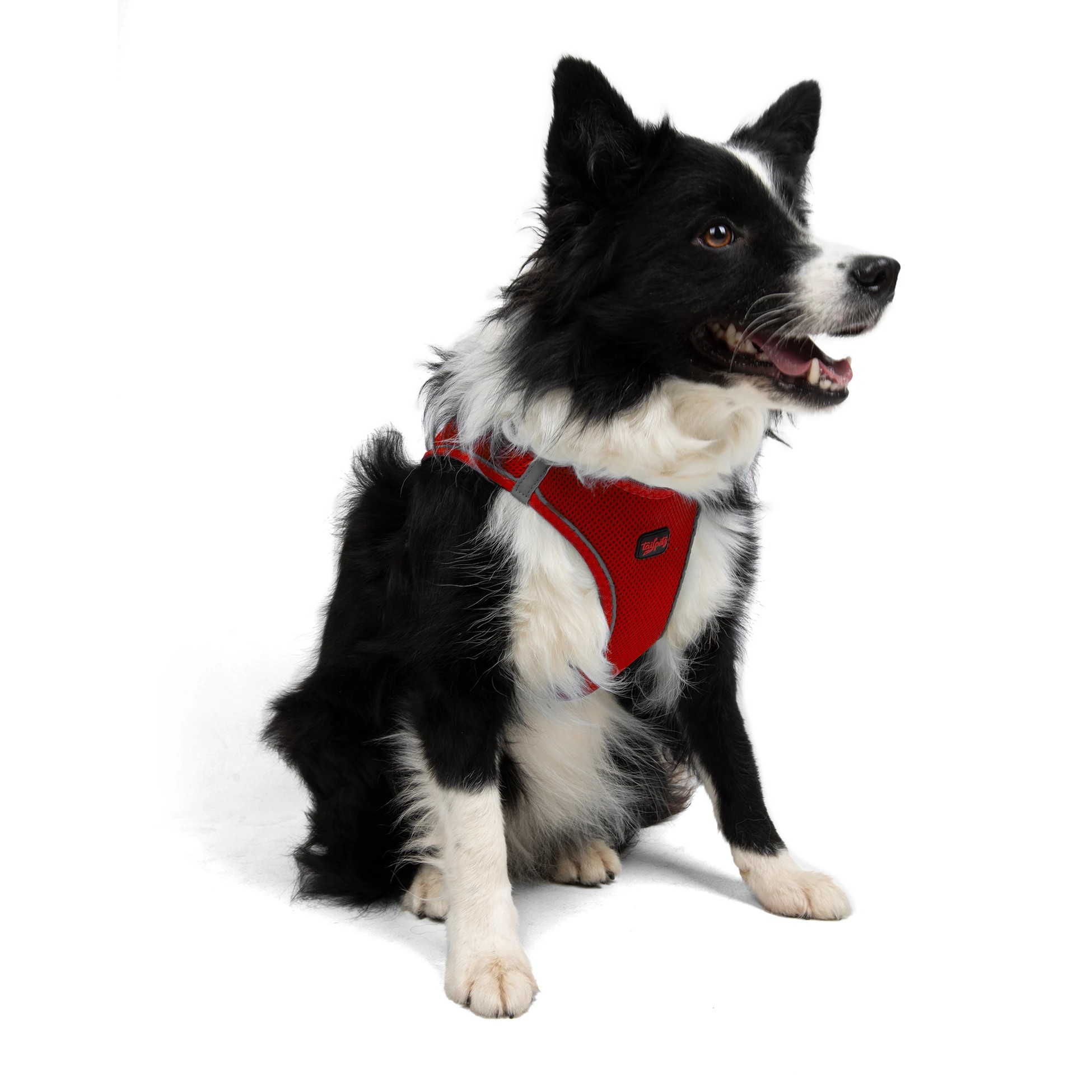 Tailpetz Air-Mesh Harness Red XL
