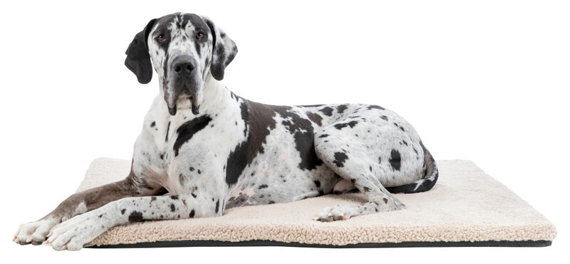 Trixie Köpek Yatağı, Ortopedik, İnce, 120x85cm, Bej