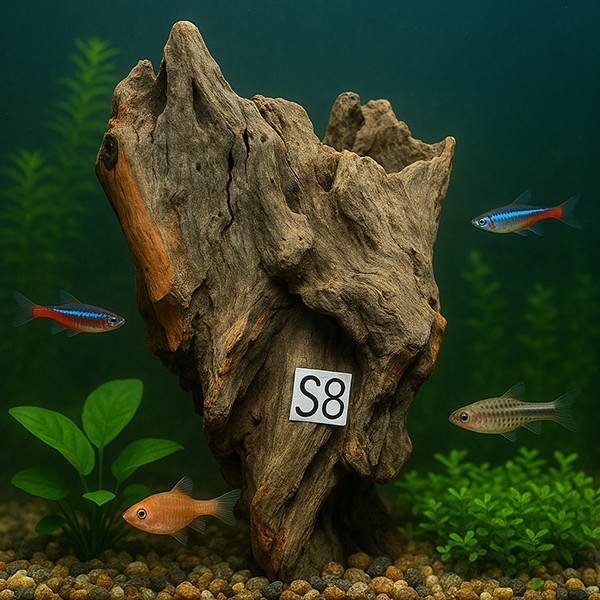 Creaqua Stump Wood Dekor Ağaç Gövdesi S 10-20 Cm