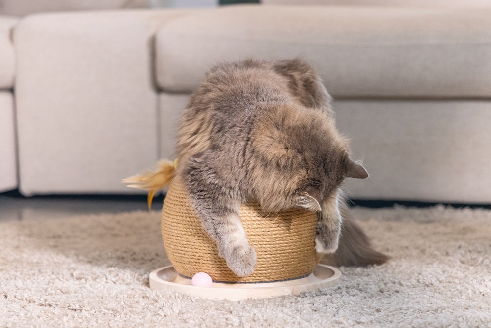 Beeztees DBL Kedi Tırmalama ve Oyuncağı, 29,5x29,5x22cm