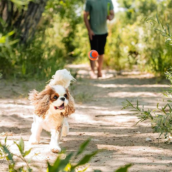 Chuckit Ultra Ball Köpek Oyun Topu Küçük Boy 2li