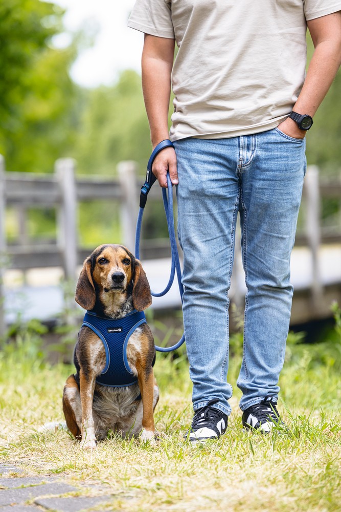 Beeztees Köpek Göğüs Tasması, Neopren, Mavi, M, 41-46cm