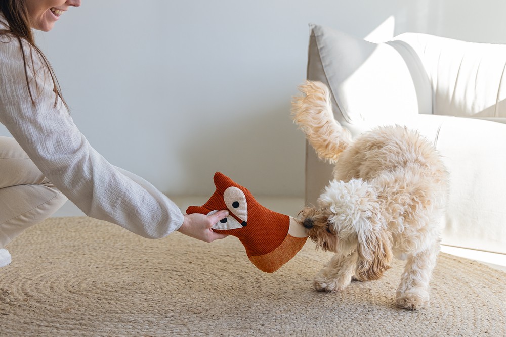 Beeztees DBL Köpek Oyuncağı, Sesli, Tilki, Peluş, Turuncu, 25,5cm