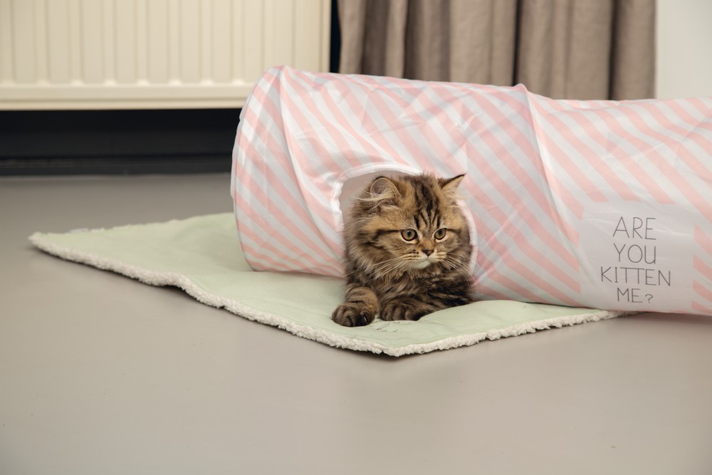 Beeztees Yavru Kedi Oyun Tüneli, 60x24x24cm