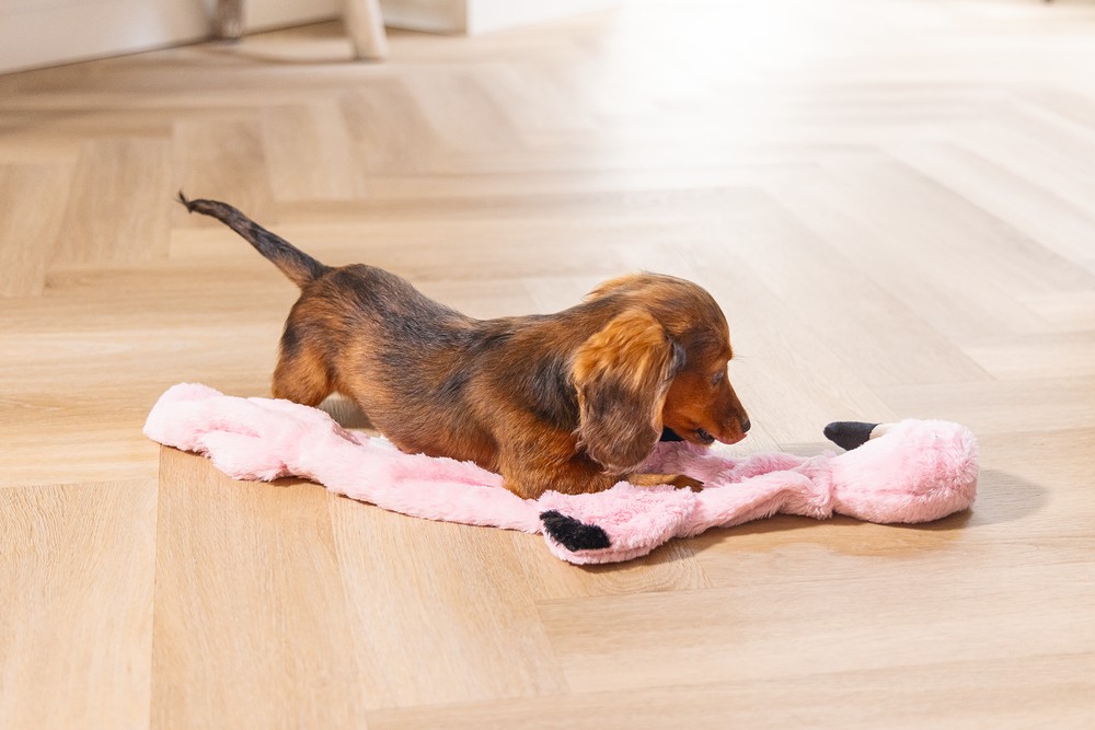 Beeztees Yavru Köpek Oyuncağı, Flamingo, Peluş, Pembe, 72x27x5cm