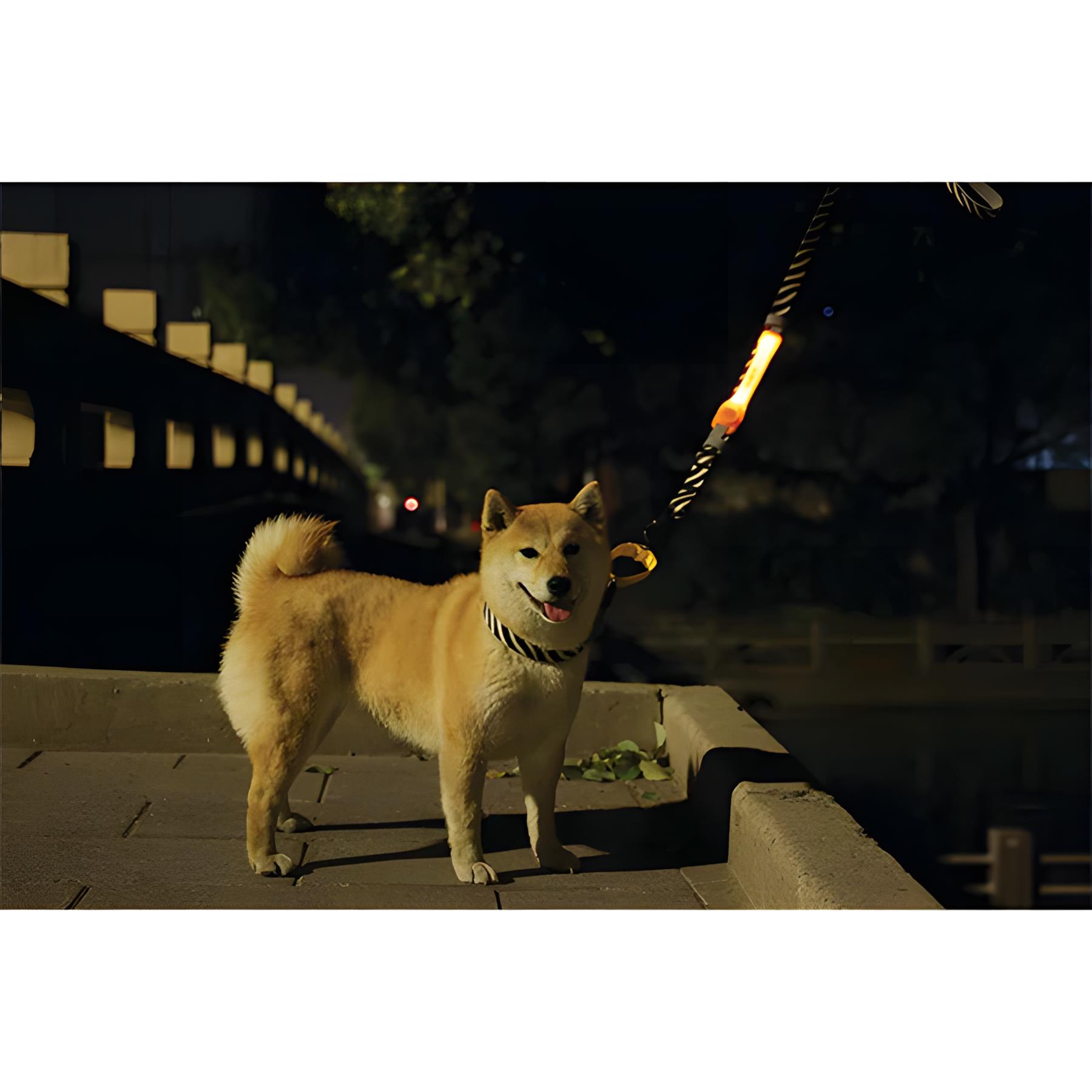 M-Pets Flash Ledli Band Turuncu