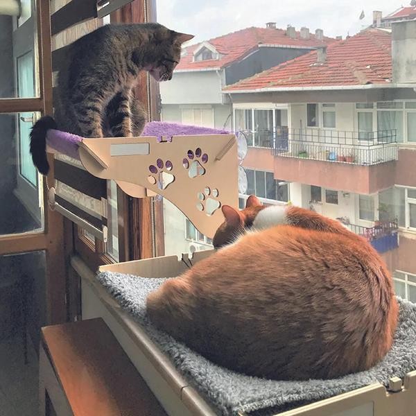 Ata Home KY2 Büyük Ahşap Vantuzlu Kedi Yatağı Gri