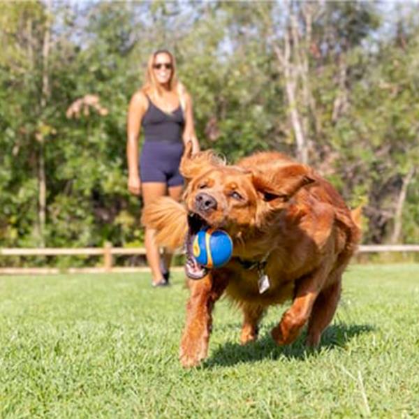 Chuckit Ultra Squeaker Sesli Köpek Oyun Topu XL